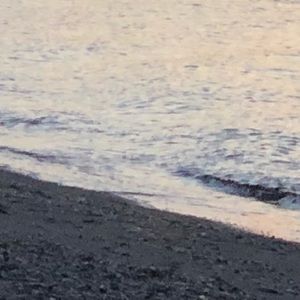 Meet your Posher, Kaylin